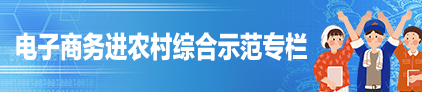 電子商務進農村綜合示范專欄